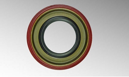 Simmering dichtring hinten - ,